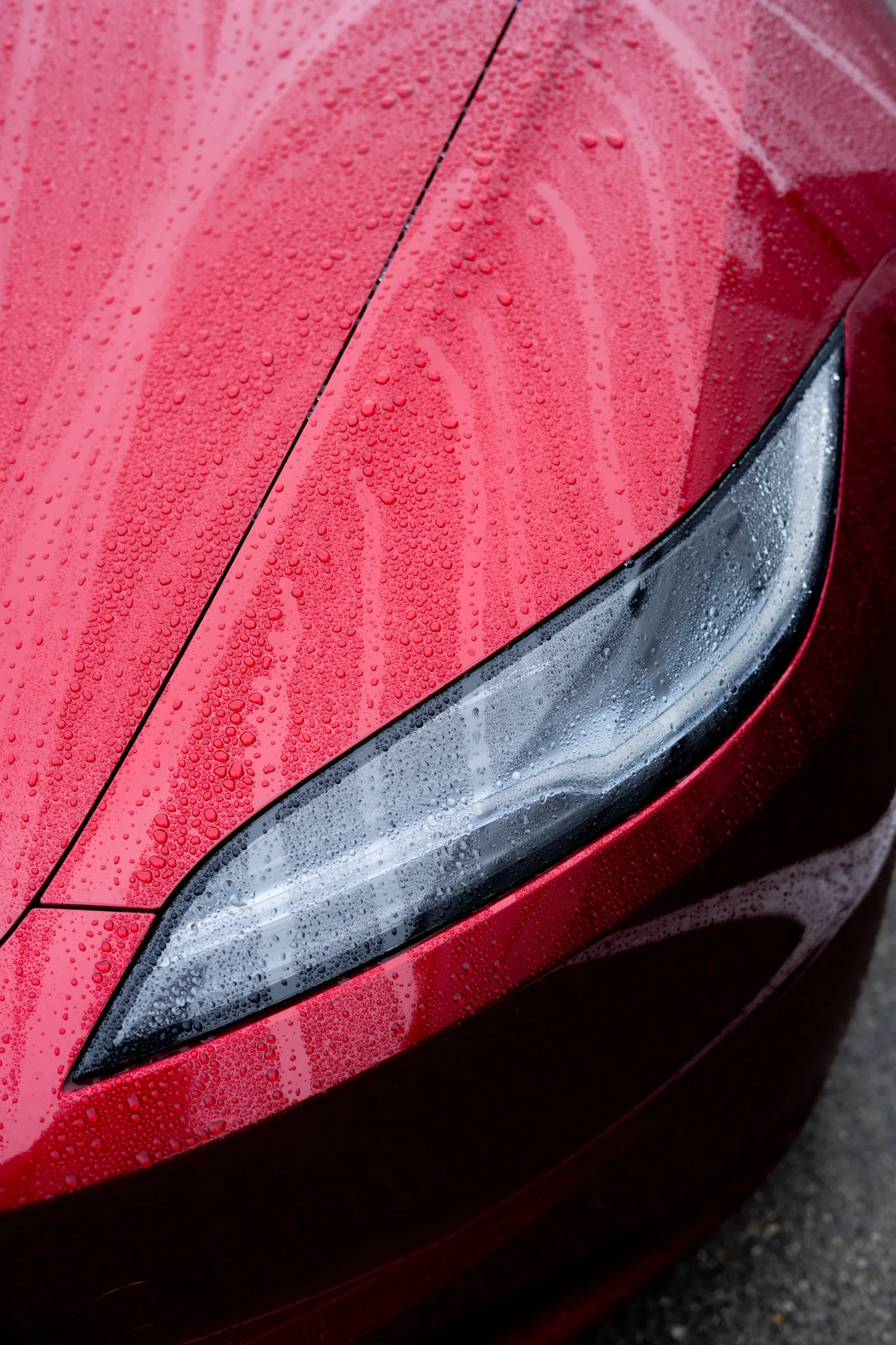 Vehicle protection project at Alset Custom
